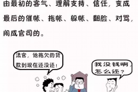 陆丰融资清欠服务